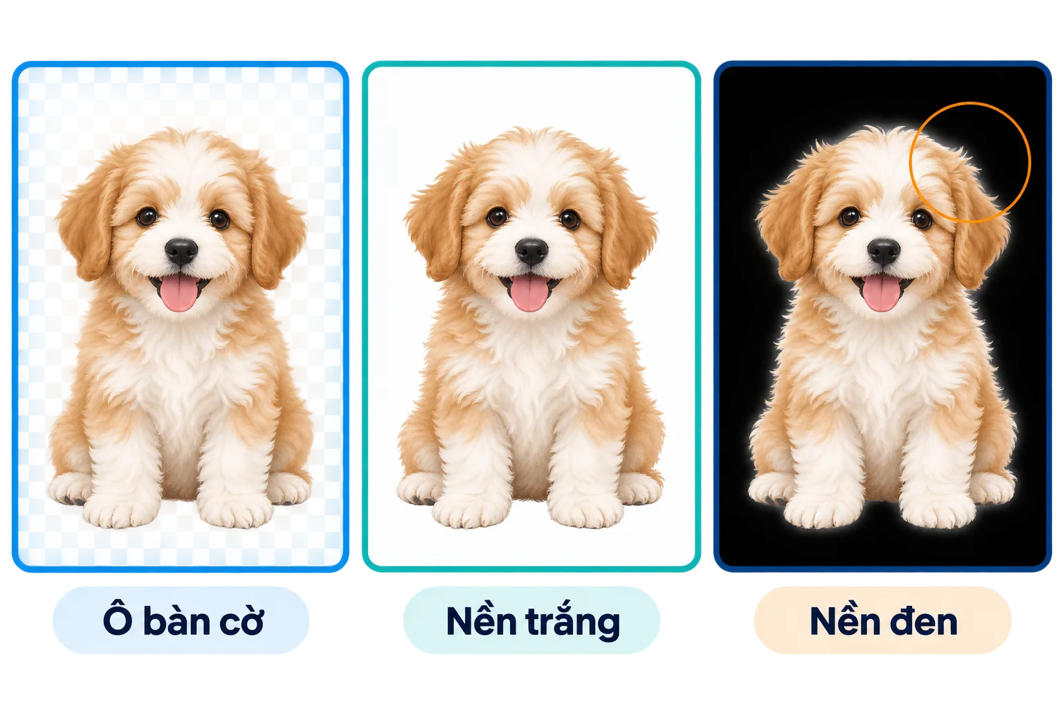 Cùng một ảnh đã xóa nền xem trên nền ô bàn cờ, trắng và đen; quầng sáng chỉ lộ trên nền đen
